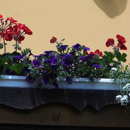 Homestay Gastehaus Ulbl *