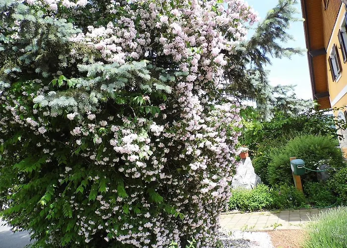 Homestay szállás Gaestehaus Ulbl *