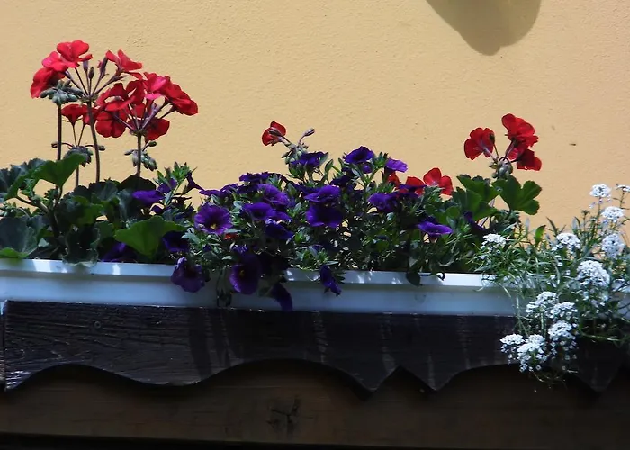 Homestay szállás Gaestehaus Ulbl *